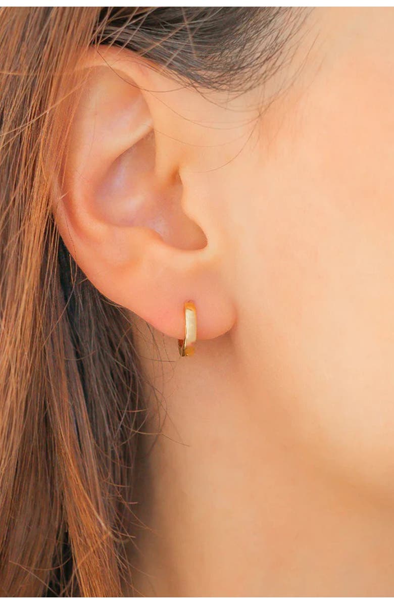 Mint & Lily Dainty Huggie Hoop Earrings, Alternate, color, Silver