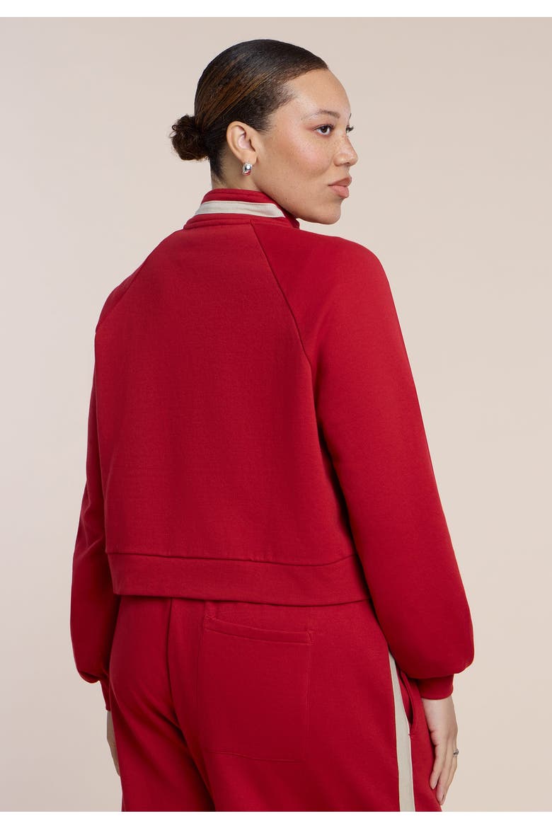 Stripe Detail Quarter Zip Sweatshirt, Alternate, color, BOLD RED