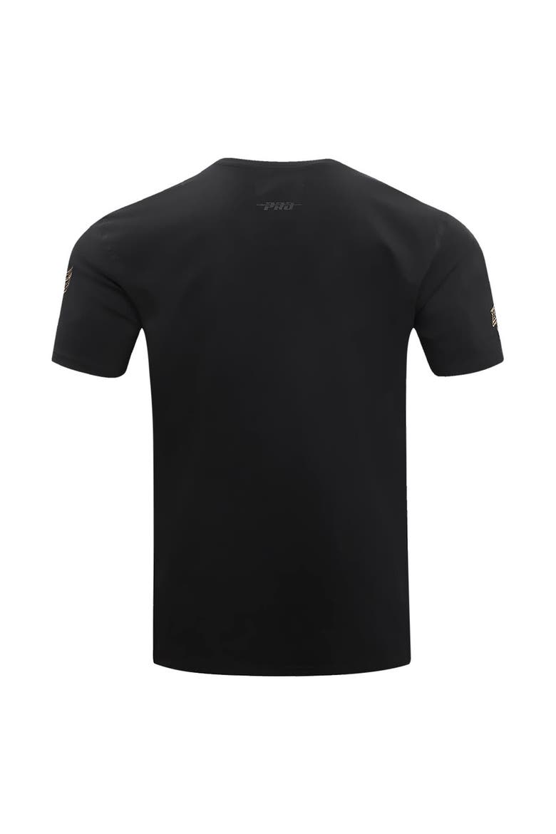 Men's Pro Standard Black Detroit Red Wings Wordmark T-Shirt, Alternate, color, Black