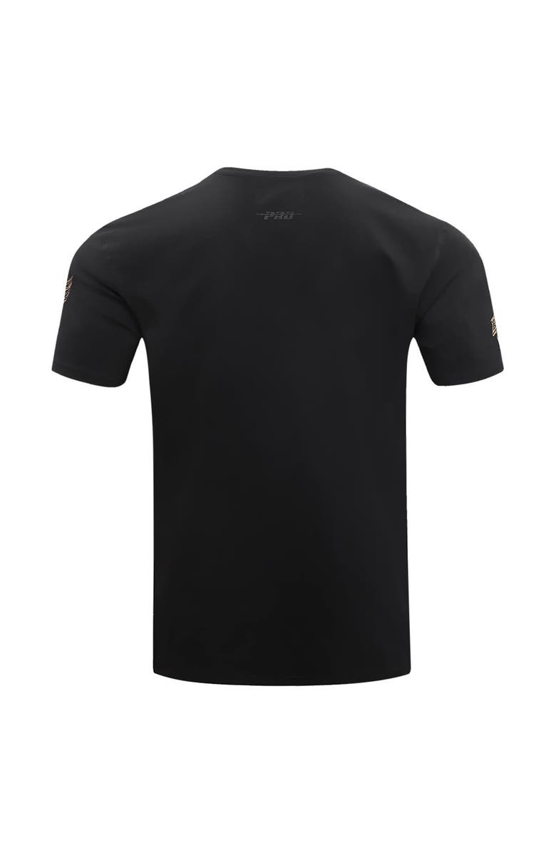 PRO STANDARD Men's Pro Standard Black Detroit Red Wings Wordmark T-Shirt, Alternate, color, Black