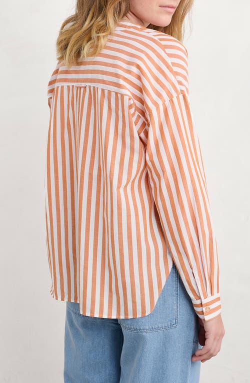 Shop Seasalt Cornwall Eyebright Stripe Organic Cotton Popover Shirt In Mini Scallion Cumin