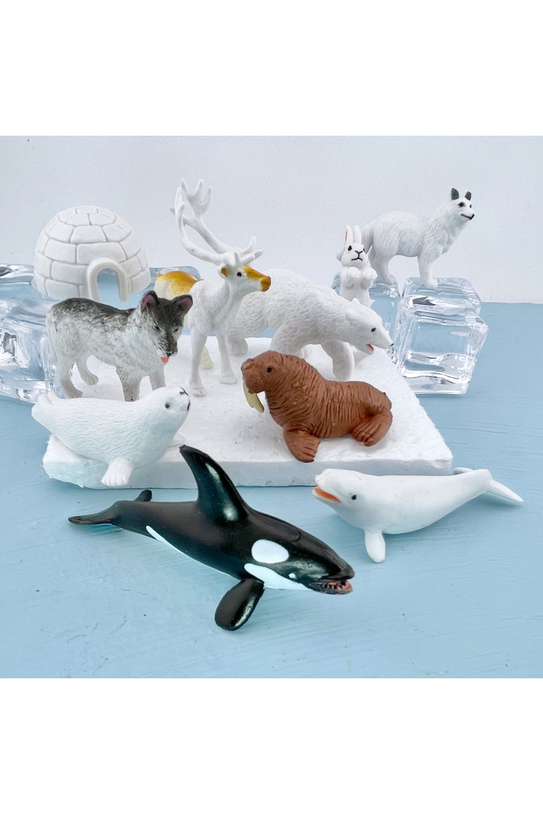 Arctic Toy, Alternate, color, No Color