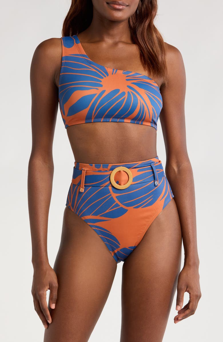 Hutch One-Shoulder Bikini Top, Alternate, color,