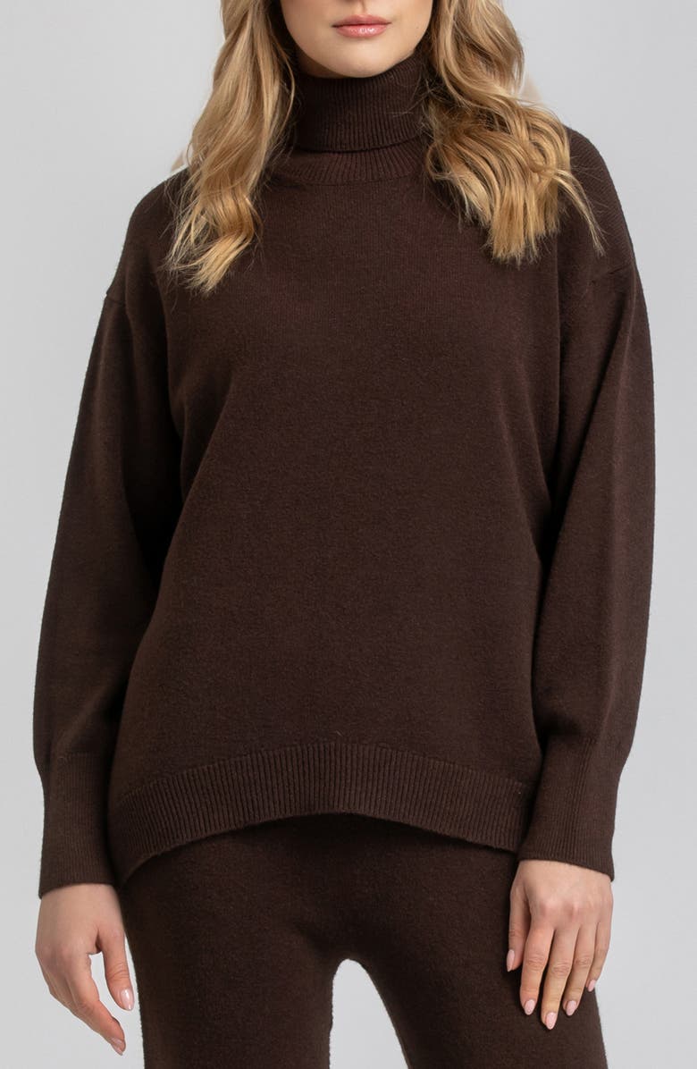 PIETRO BRUNELLI MATERNITY Turtleneck Maternity Sweater, Main, color,