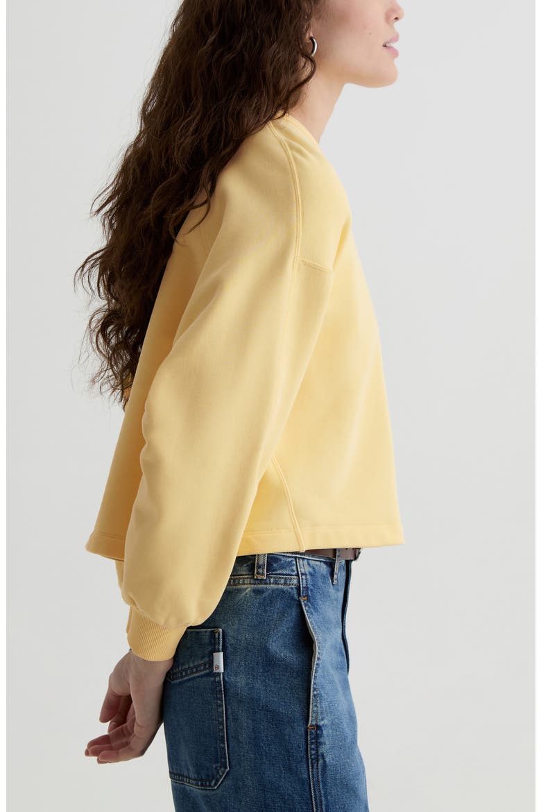 Roselle Cotton Blend T-Shirt, Alternate, color, SUNLIGHT YELLOW