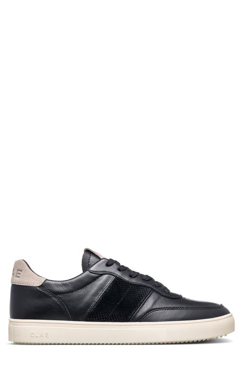 Clae Davis Perforated Low Top Sneaker In Black Leather Cashmere
