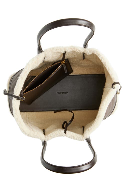 Bottega Veneta Medium Pinacoteca Leather & Genuine Shearling Tote