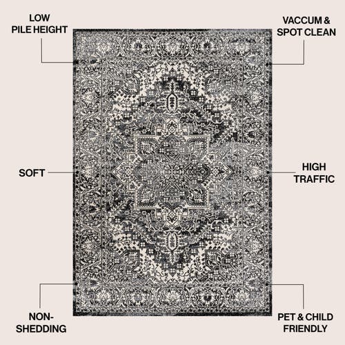 Jonathan Y Modern Persian Vintage Medallion Area Rug In Black