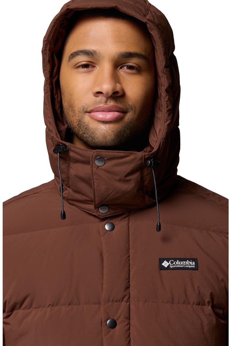 Wallowa Water Repellent Down Puffer Jacket with Removable Hood, Alternate, color, TOBACCO