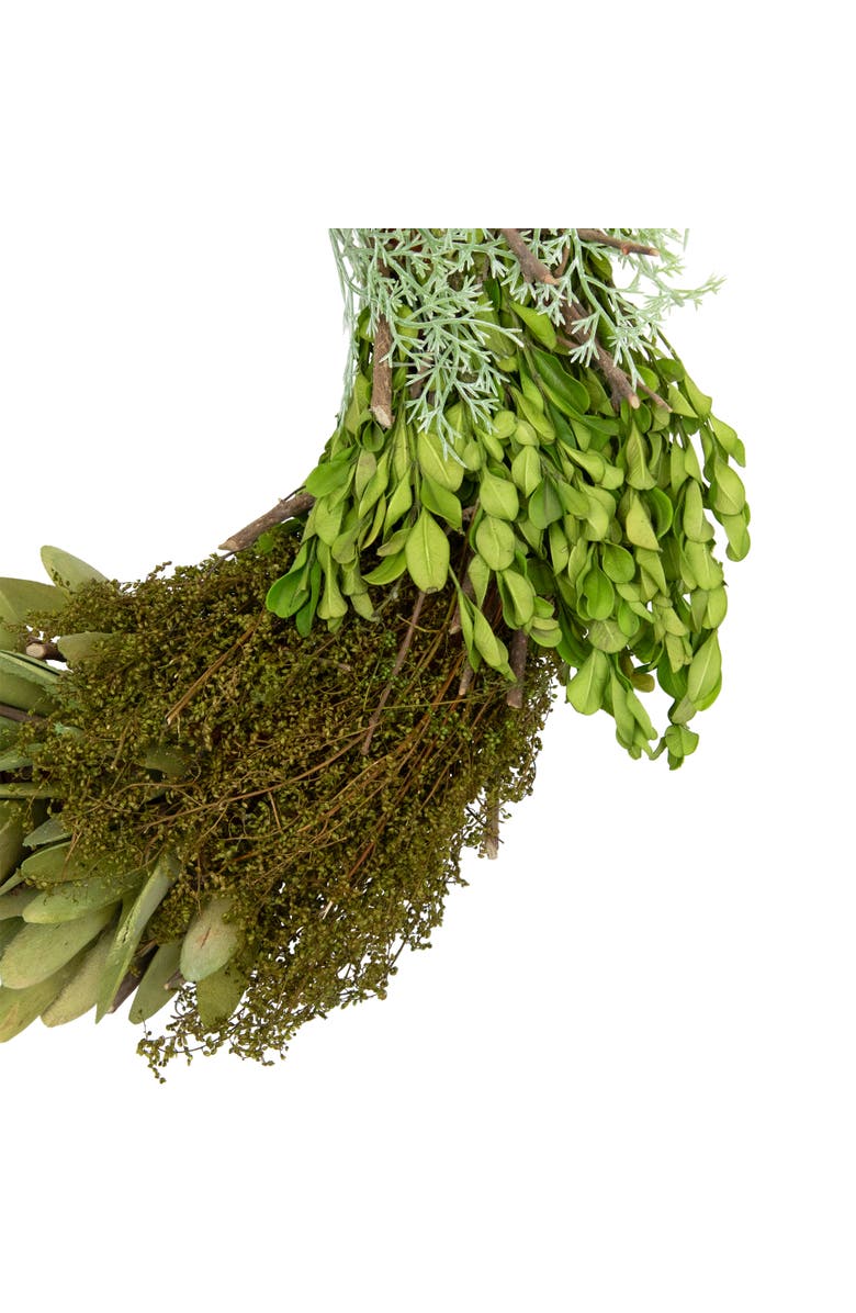 Northlight Cedar, Succulent and Day Grass Artificial Spring Wreath, Green -14-Inch, Alternate, color, Green