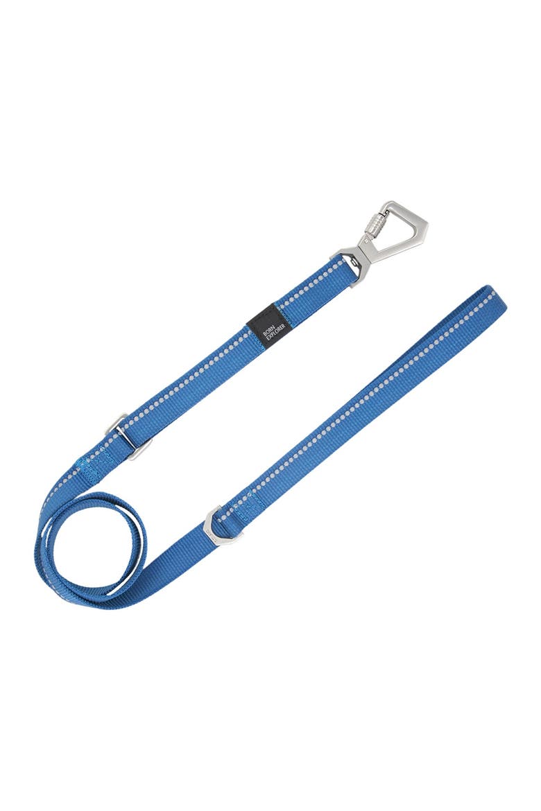 'Advent' Outdoor Series 3M Reflective 2-in-1 Durable Martingale Training Dog Leash & Collar - Large, Main, color, BLUE