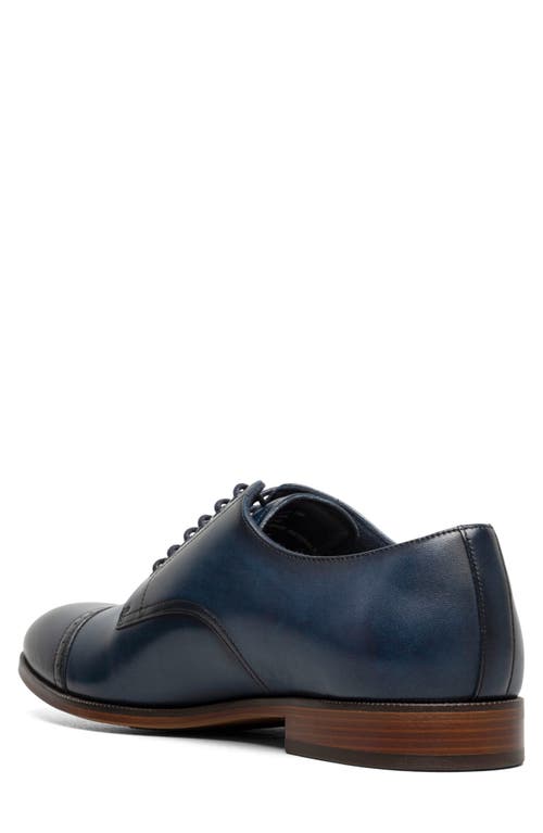 Stacy Adams William Cap Toe Oxford In Navy
