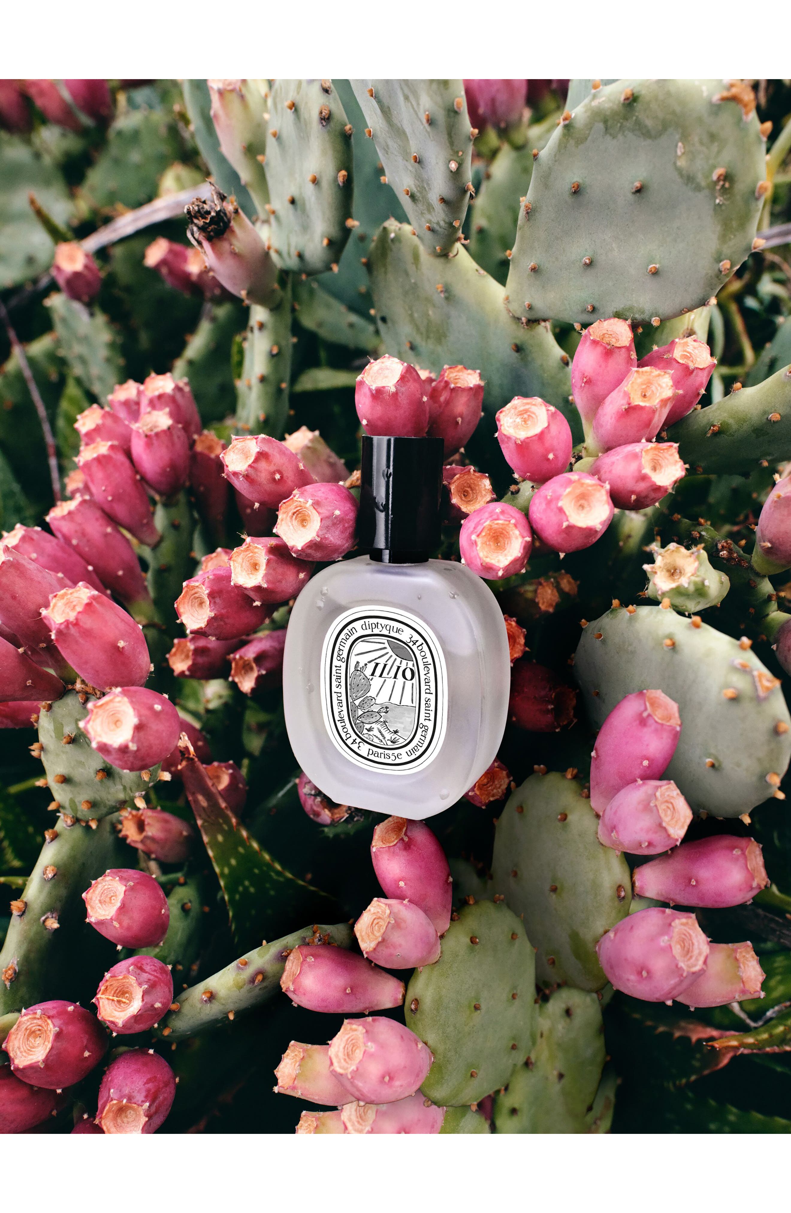 Diptyque Ilio Hair Mist (Limited Edition) (Women) | Nordstrom