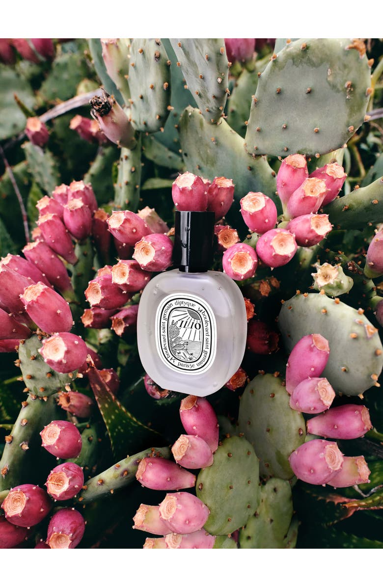 Diptyque Ilio Hair Mist, Alternate, color, 