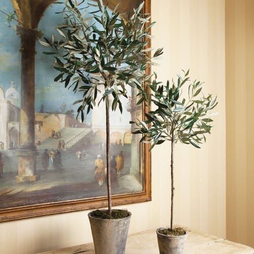 Napa Home & Garden 46in Potted Olive Tree In Multi