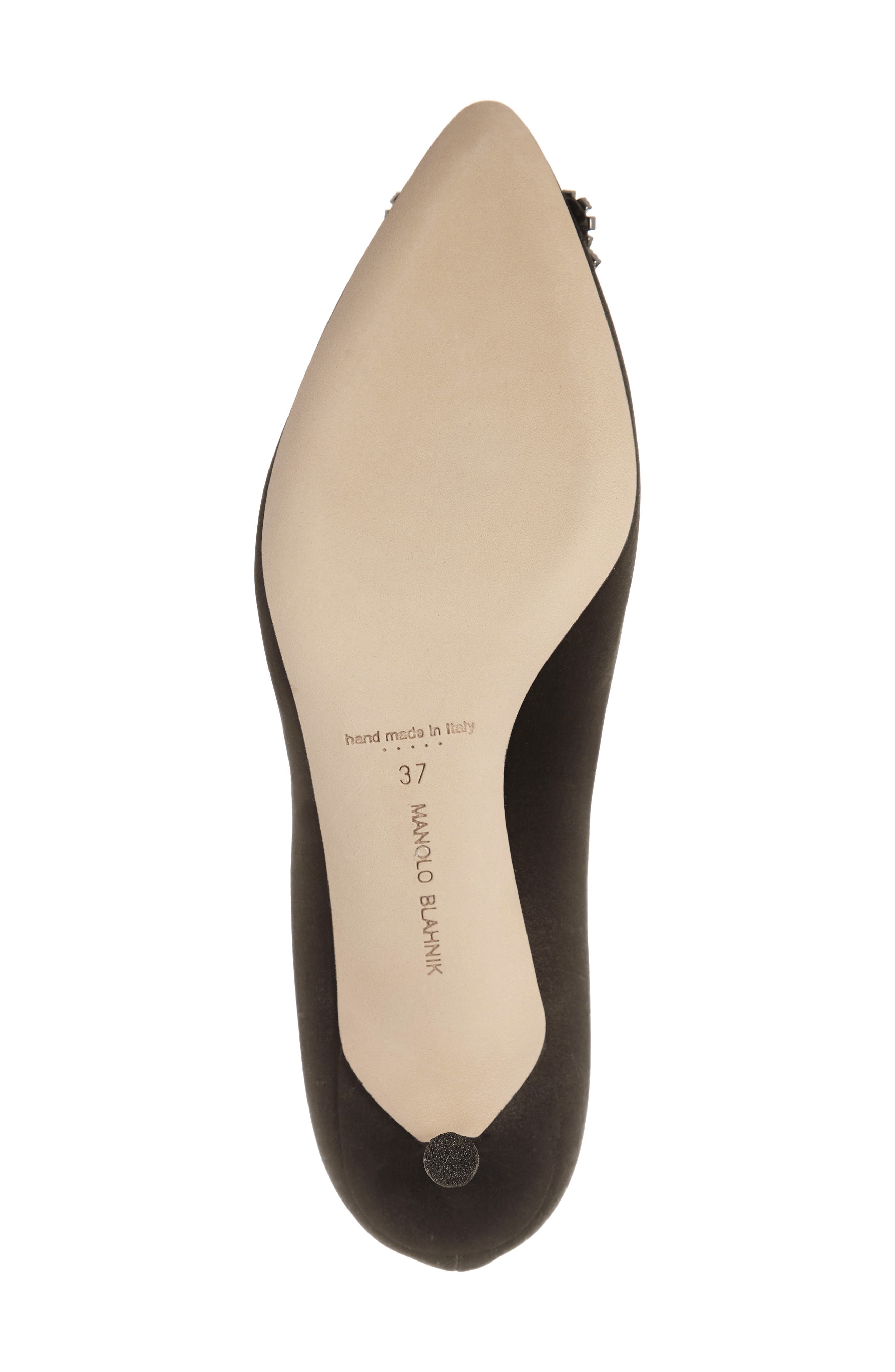 Manolo Blahnik Hangisi Embellished Pointed Toe Pump, Alternate, color, 