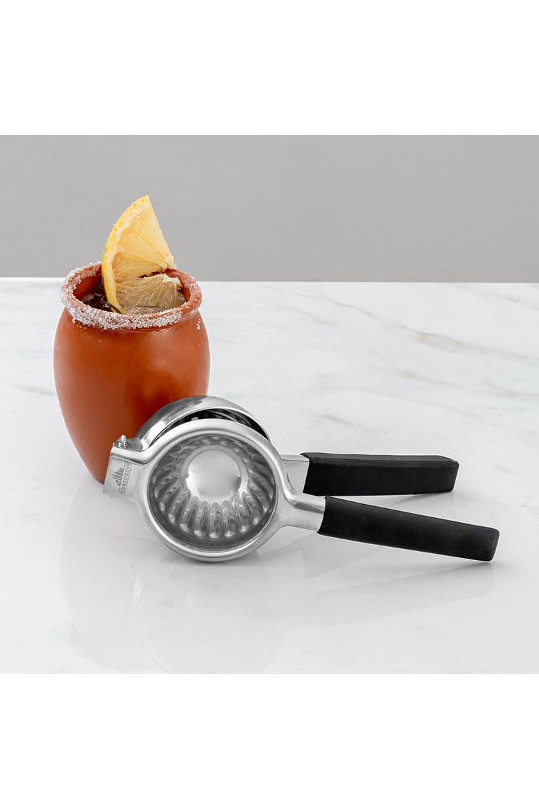 Stainless Steel Citrus Juicer, Alternate, color, Stainless Steel