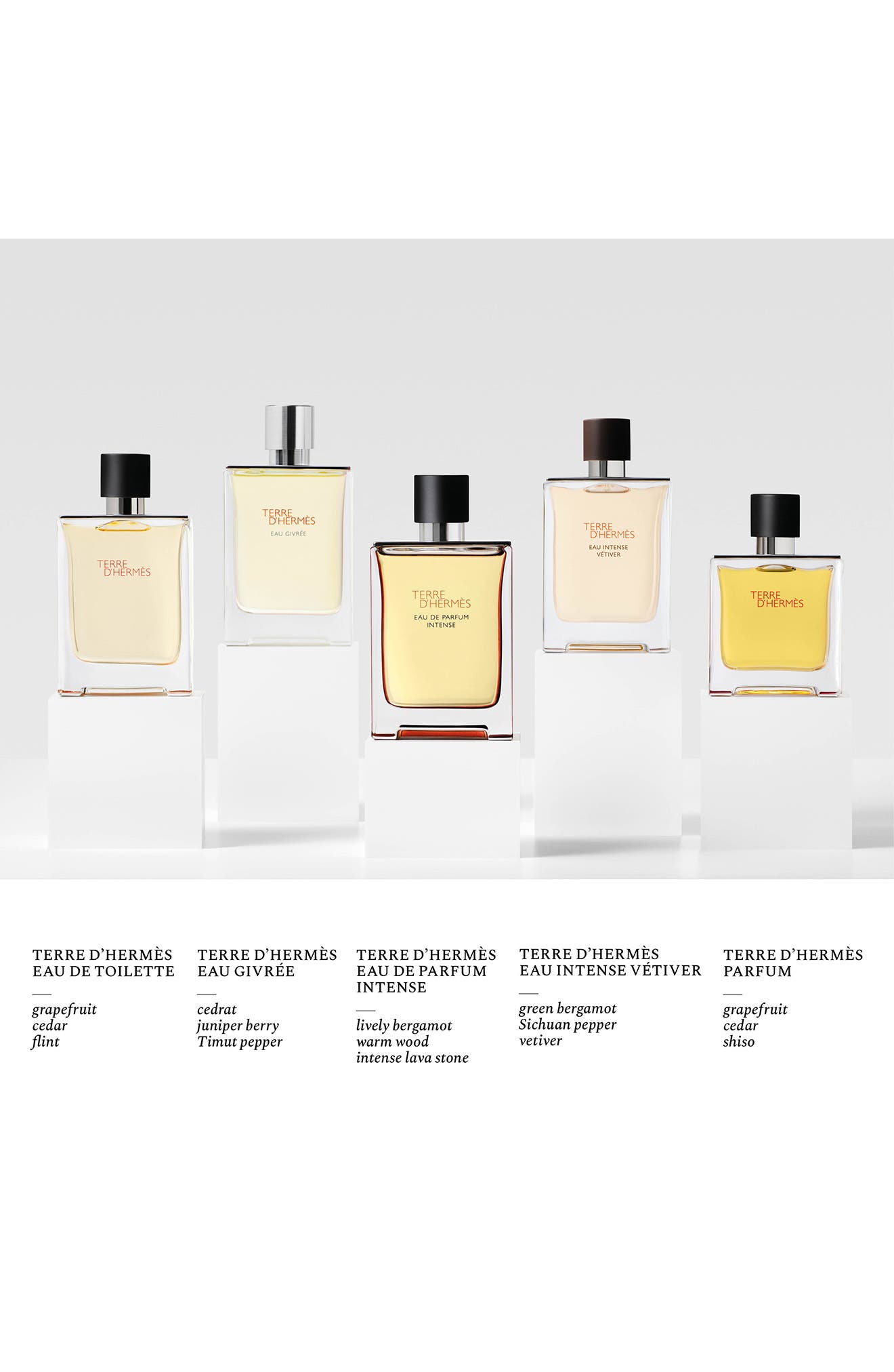 Hermès Terre d'Hermès Eau Intense Vétiver – Eau de parfum (Men