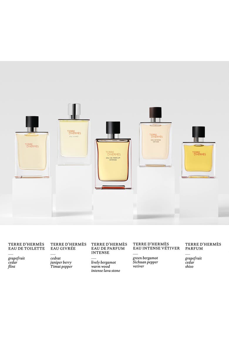 Hermès Terre d'Hermès Eau Intense Vétiver – Eau de parfum, Alternate, color,