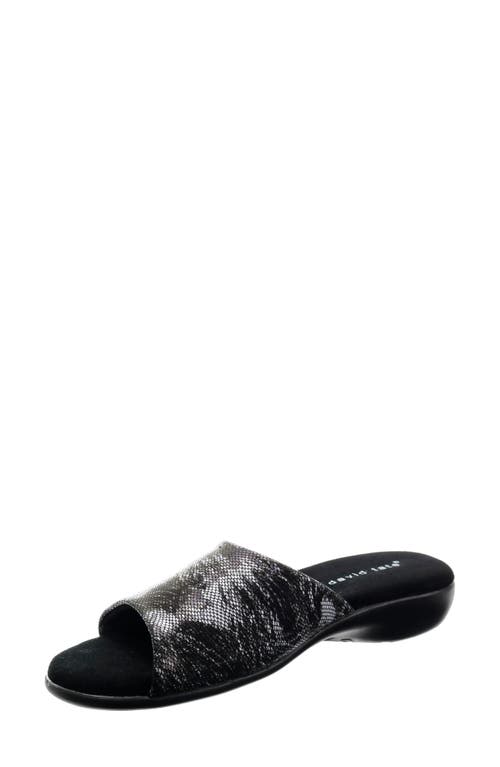 David Tate Fran Slipper In Black