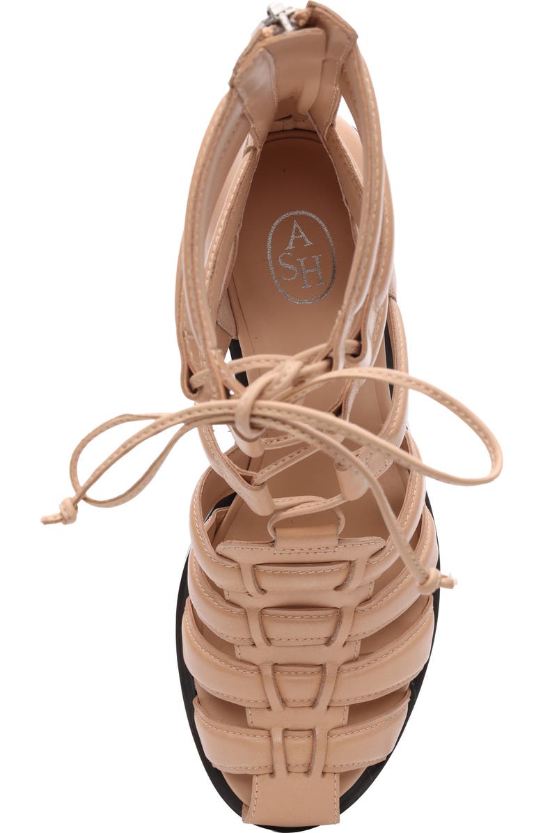 Ash Juvia Lace-Up Gladiator Sandal, Alternate, color, Sand