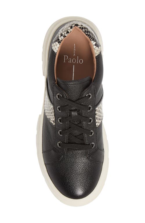 Shop Linea Paolo Roffe Platform Sneaker In Black/cream/black Leather