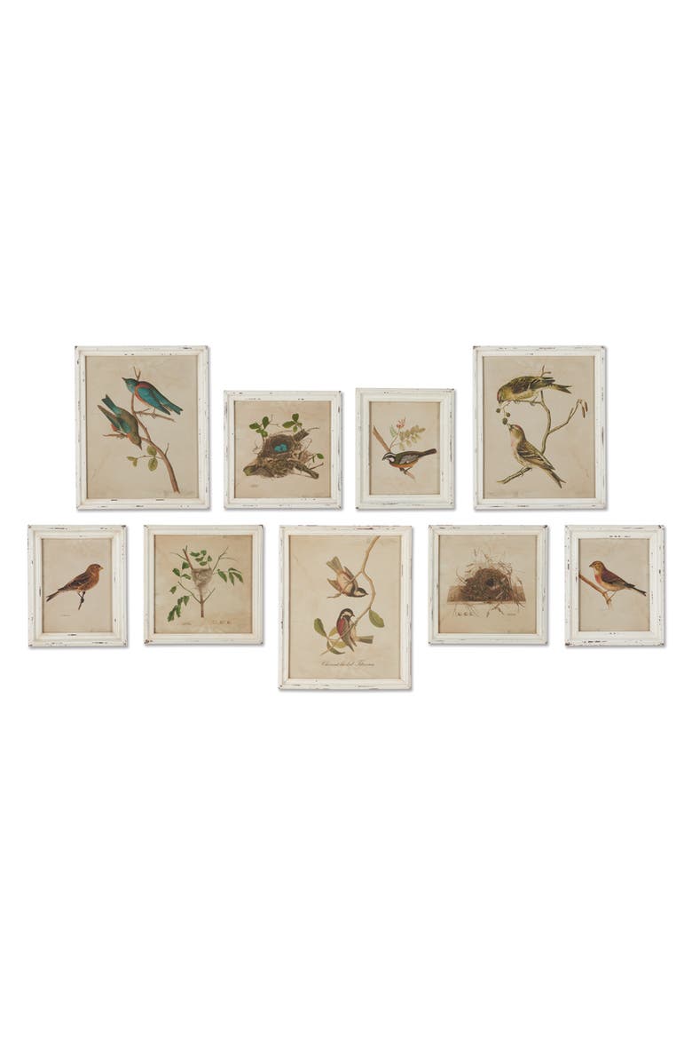 Framed Aviary Bird & Nest Habitat Prints Set of 9, Main, color, Off-White