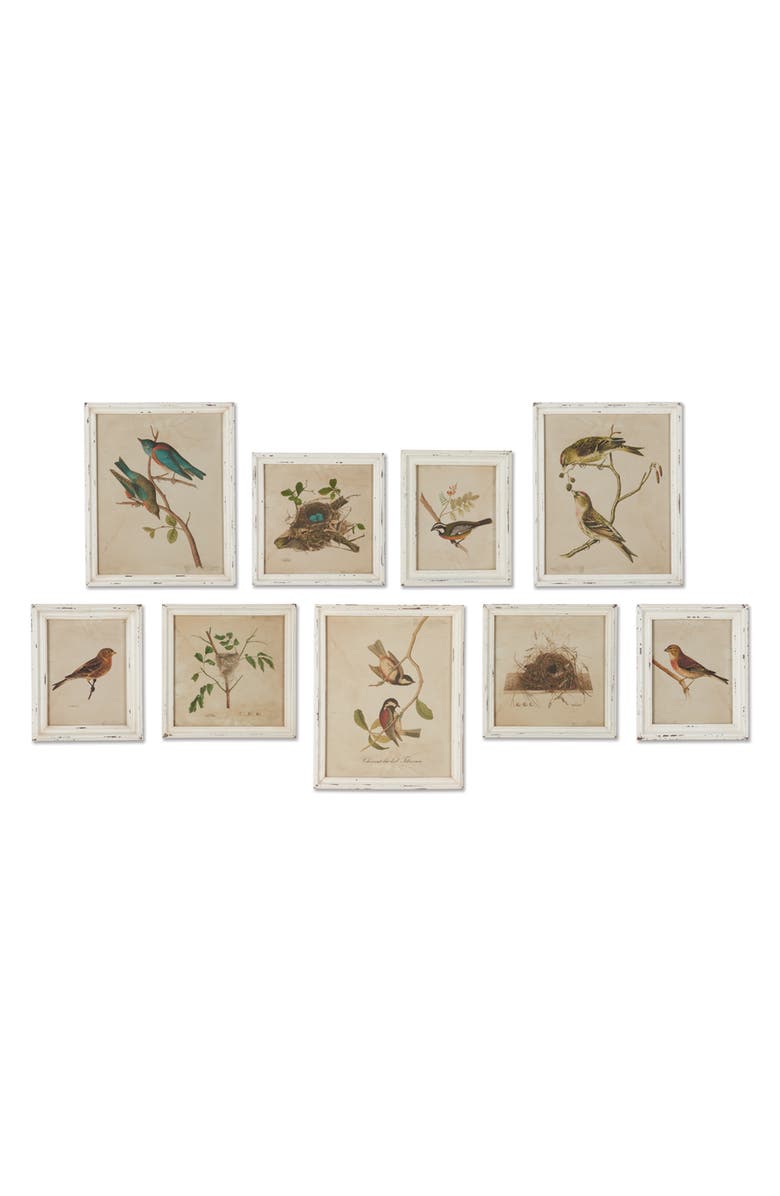 Napa Home & Garden Framed Aviary Bird & Nest Habitat Prints Set of 9, Main, color, Off-White