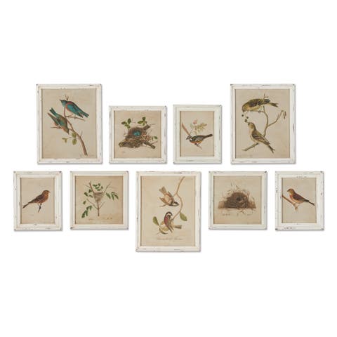 Framed Aviary Bird & Nest Habitat Prints Set of 9