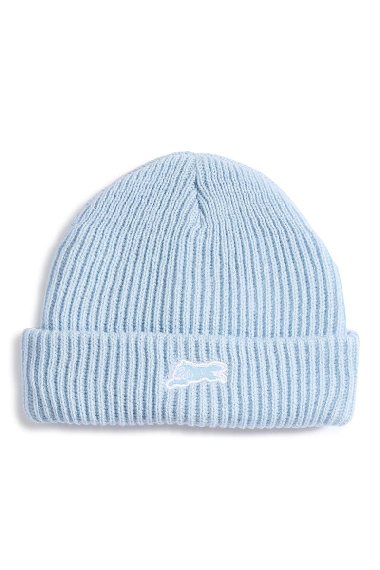 Icecap Beanie, Main, color, BABY BLUE