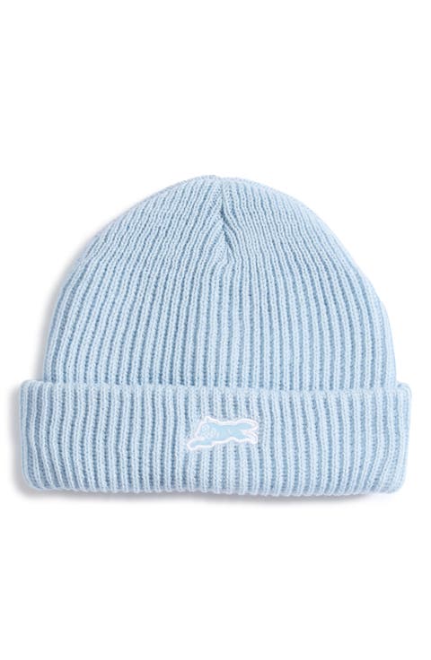 Icecap Beanie