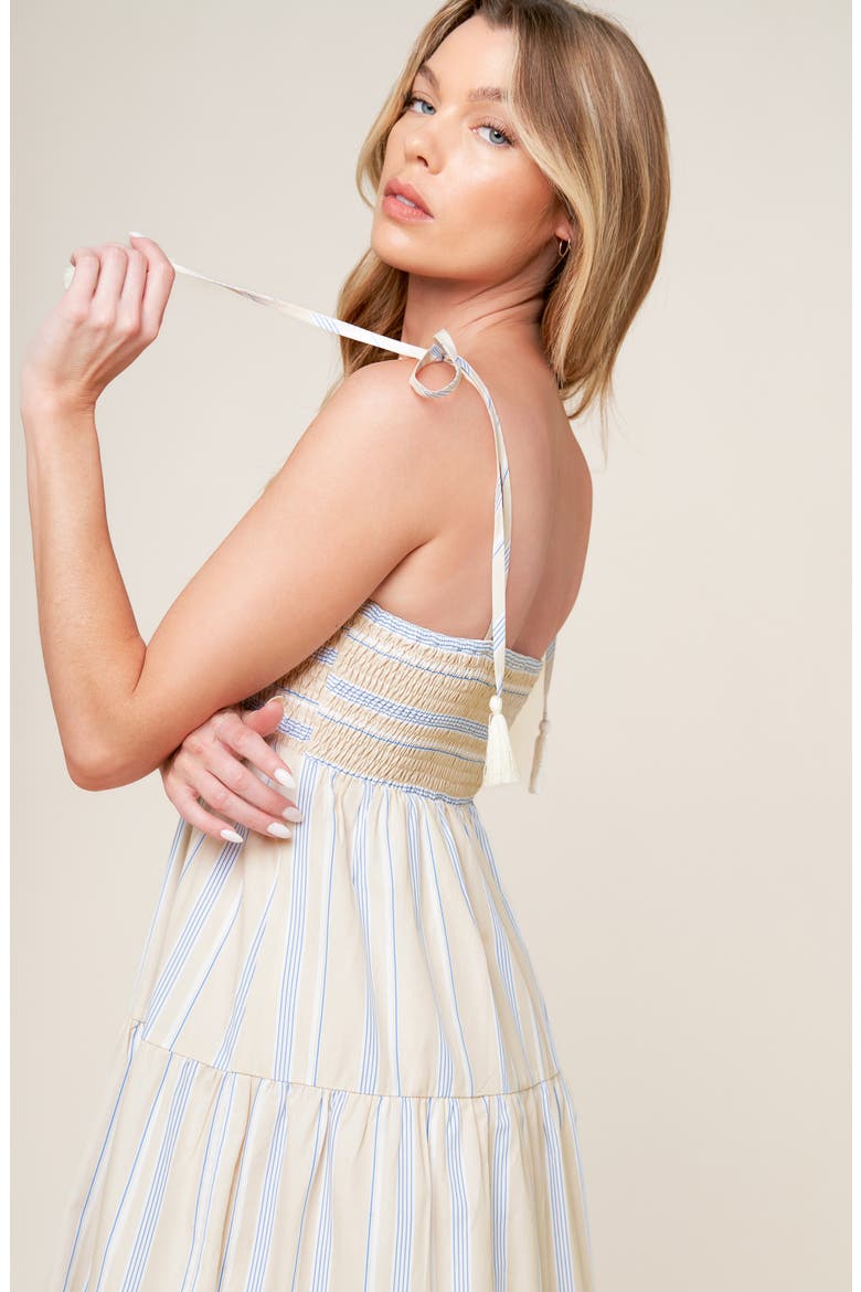 Tied Shoulder Maxi Dress, Alternate, color, TAUPE/ BLUE