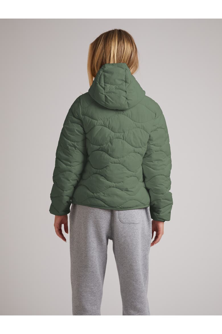 Orb1T Hooded Jacket, Alternate, color, MUTED OLIVE