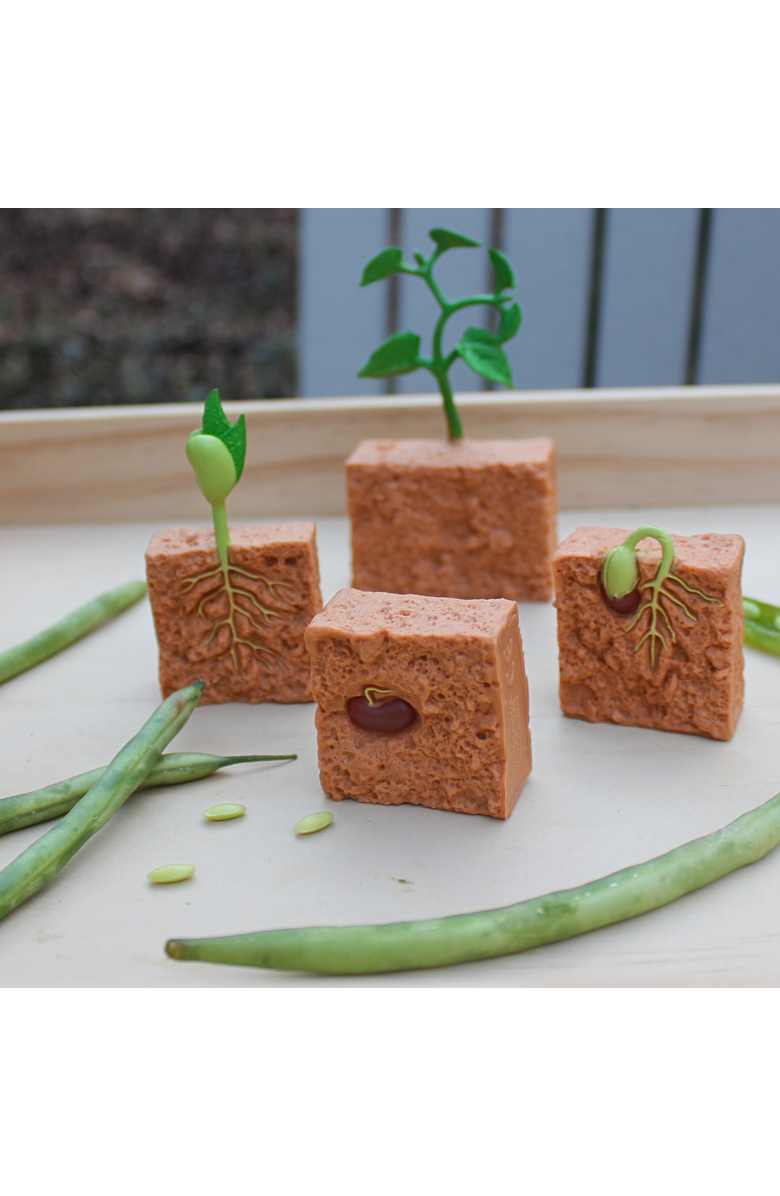 Safari Ltd. Life Cycle Of A Green Bean Plant, Alternate, color, NO COLOR