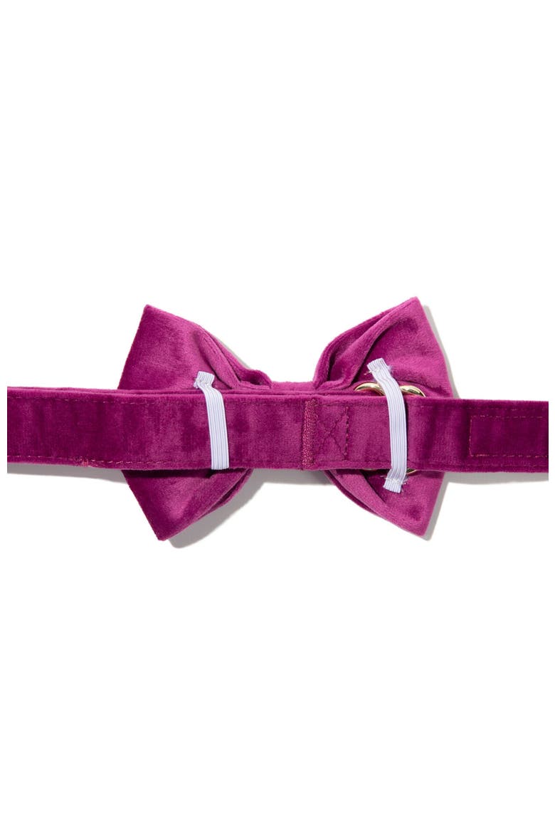 August Bow Tie, Alternate, color, August