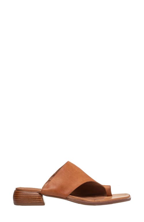 Antelope Laden Sandal In Taupe