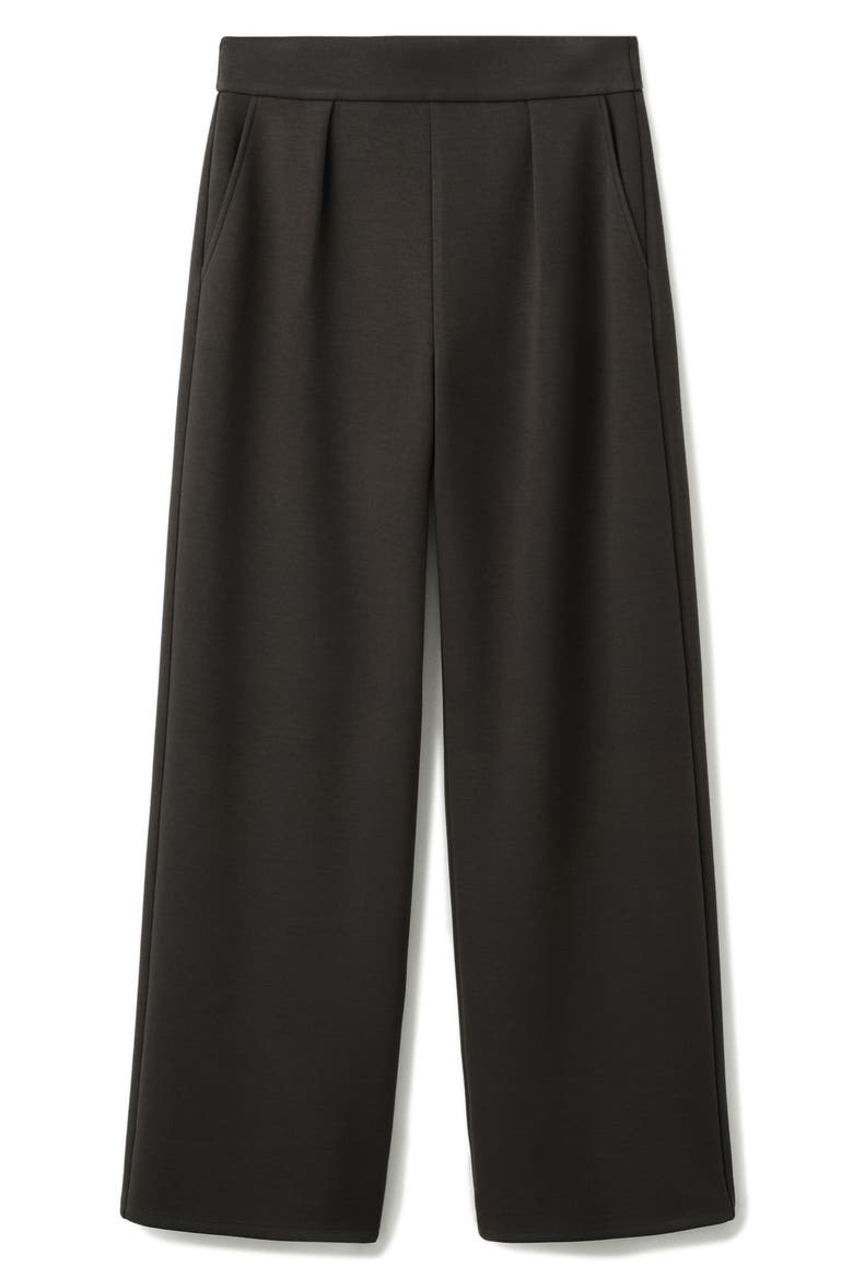 Pleated Elastic Waist Pants, Main, color, CHOCOLATE