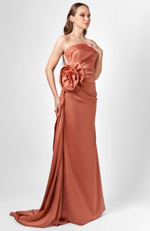 Bariano Amelia Strapless Rose Gown In Pink