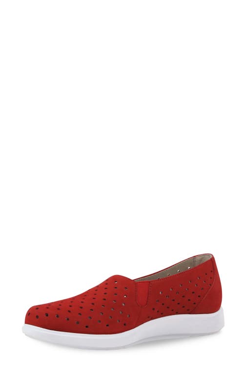 Munro Ridley Perforated Sneaker In Red Nubuck