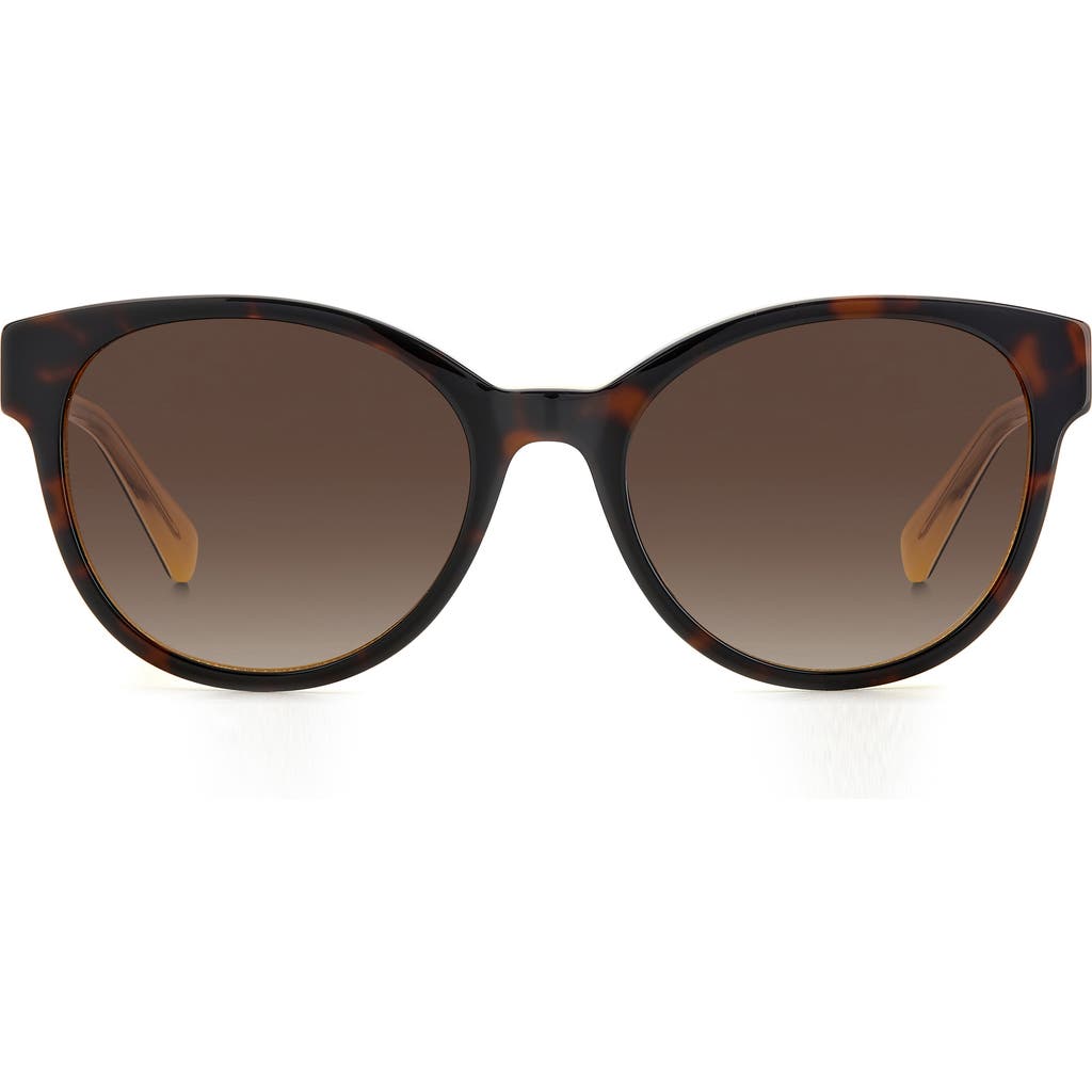 Kate Spade New York Nathalie 55mm Gradient Round Sunglasses In Havana