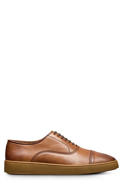 Allen Edmonds Park 2.0 Sneaker In Walnut