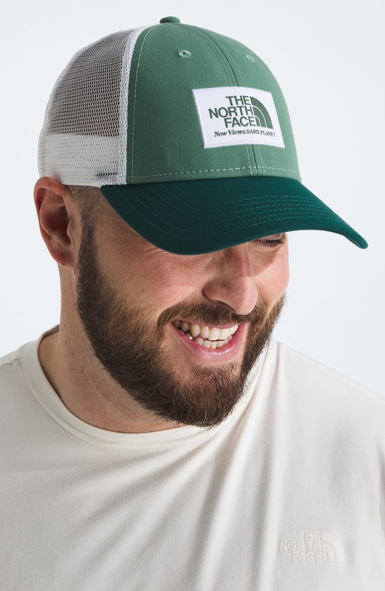 The North Face Mudder Trucker Hat, Alternate, color, 
