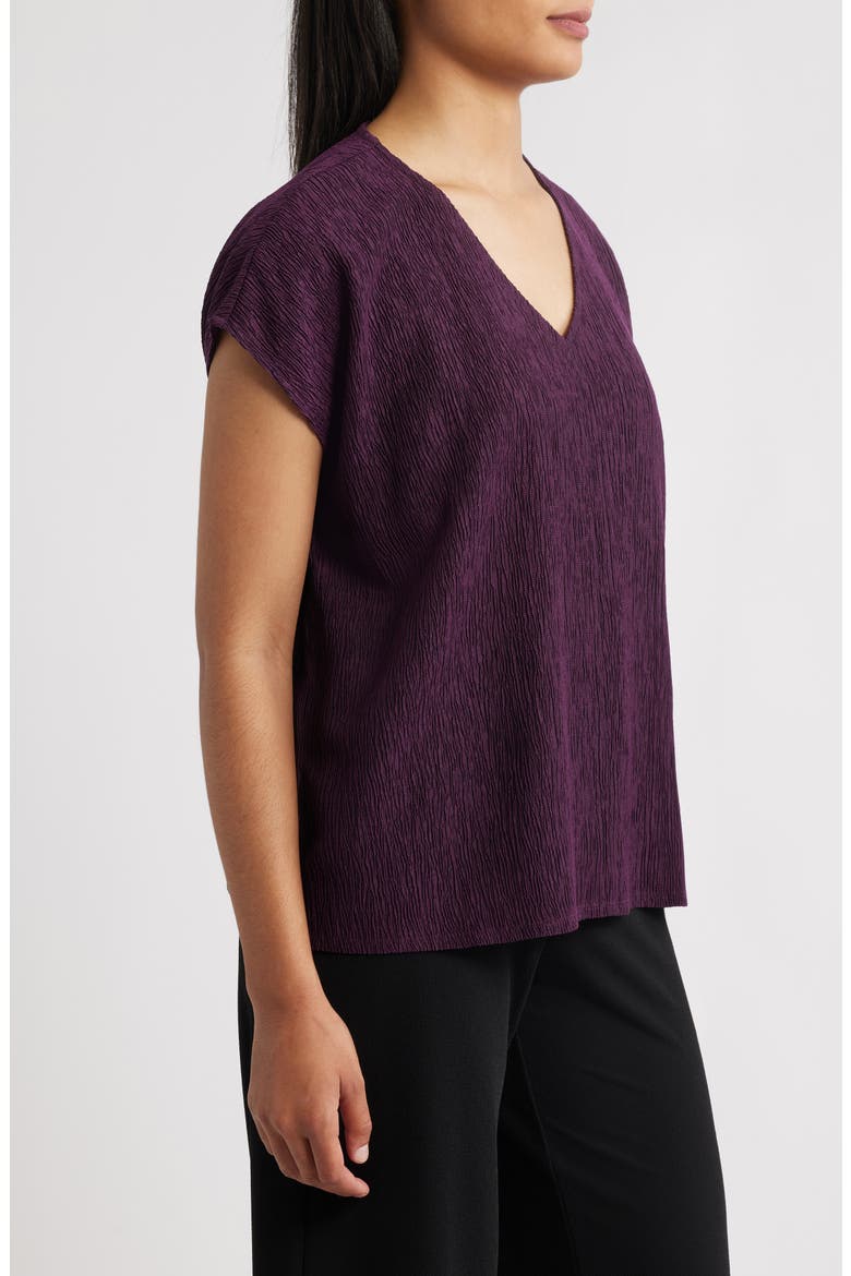 Crinkled V-Neck Boxy Top, Alternate, color, BLACKBERRY