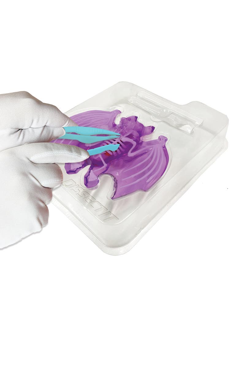 Dissect-It Dissect It Bat Lab Synthetic Dissection Kit, Alternate, color, Multicolored