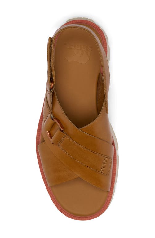 Sorel Rein Cb Crisscross Sandal In Canyon Gold/bleached Ceramic