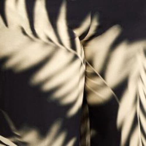 Live Unlimited Leaf Print Wide Leg Pull On Pants In Black