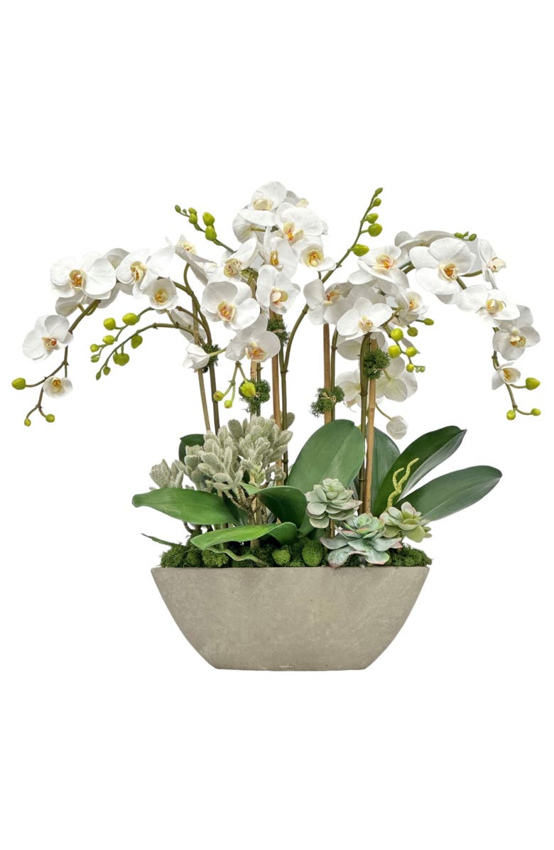 Winward Home Orchid Succulent In Planter, Main, color, 