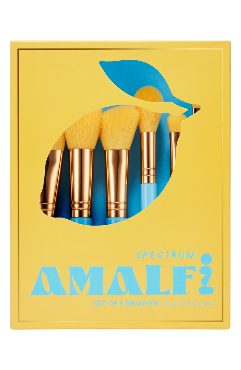 SPECTRUM Amalfi Travel Book 6-Piece Makeup Brush Set $56 Value, Alternate, color, 