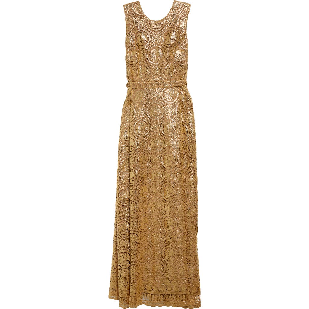 Emilia Wickstead Torres Metallic Guiure Lace Gown In Brown