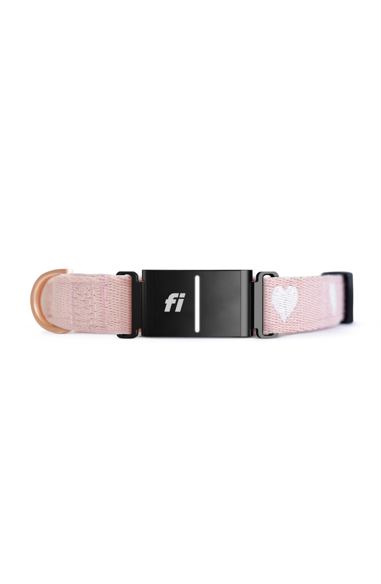 Dogistry Sweetheart 3+ Collar Band, Main, color, Medium